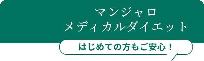 GIP/GLP-1 メディカルダイエット はじめての方もご安心！